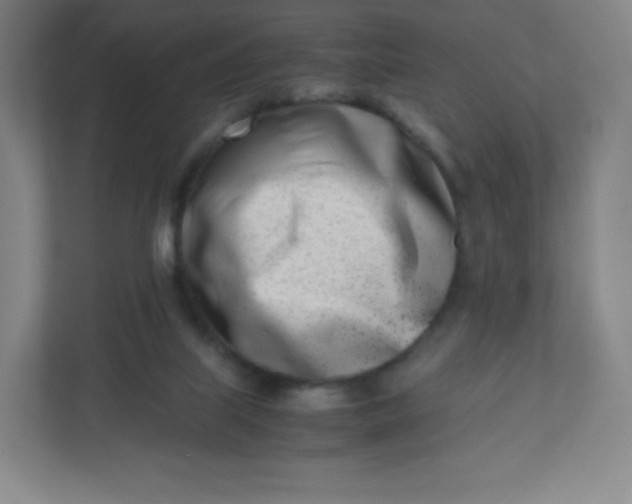 X0000110770067200906291056