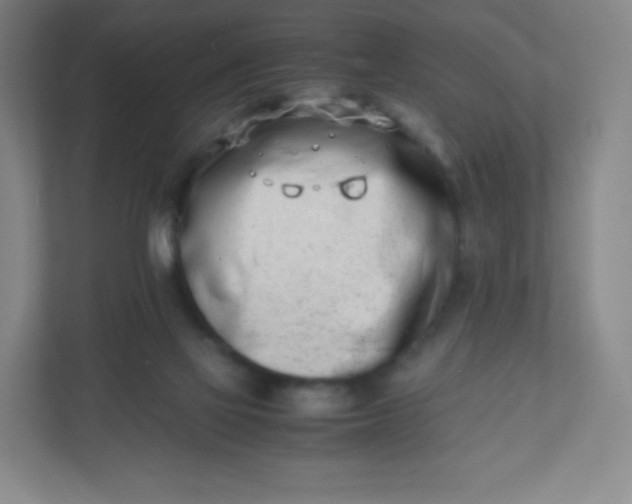 X0000110770069200906291056