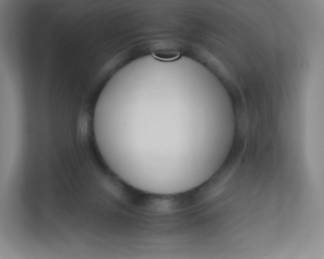 X0000110770071200906291056