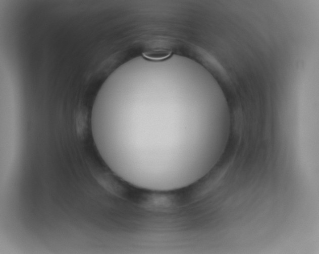 X0000110770073200906291056