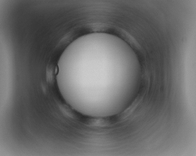 X0000110770074200906291056