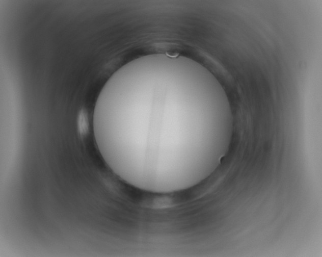 X0000110770075200906291056