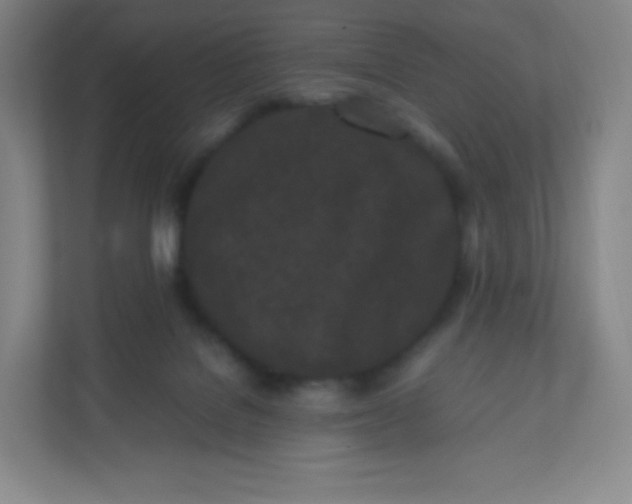 X0000110770076200906291056