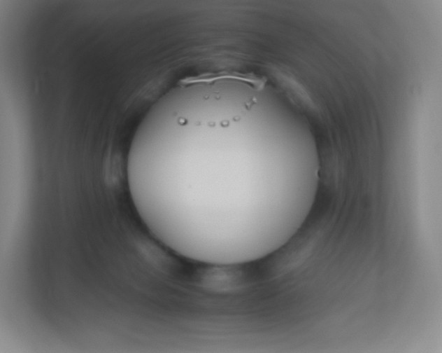 X0000110770077200906291056