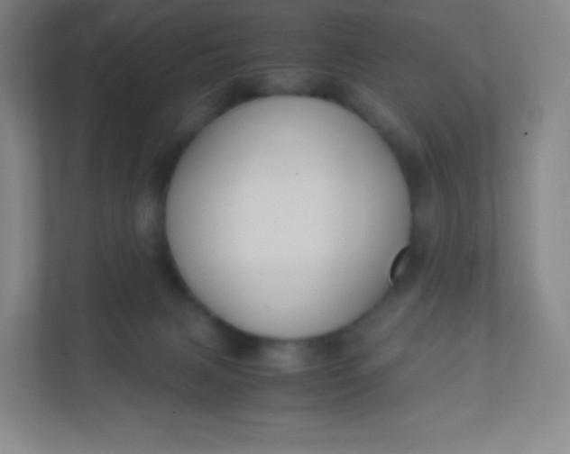 X0000110770079200906291057