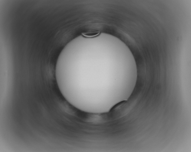 X0000110770083200906291057