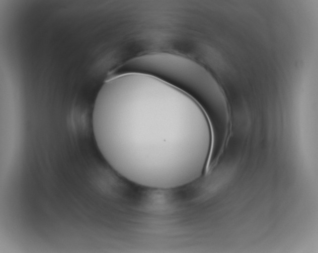 X0000110770088200906291057