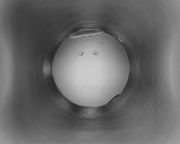 X0000110770089200906291057