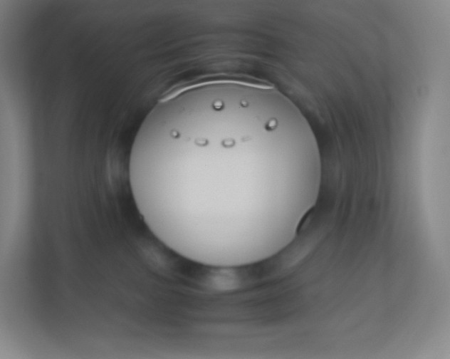 X0000110770091200906291057