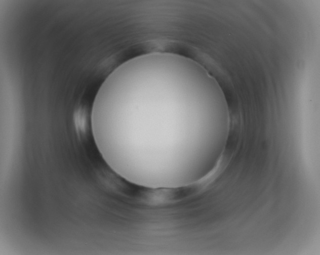 X0000110770094200906291057