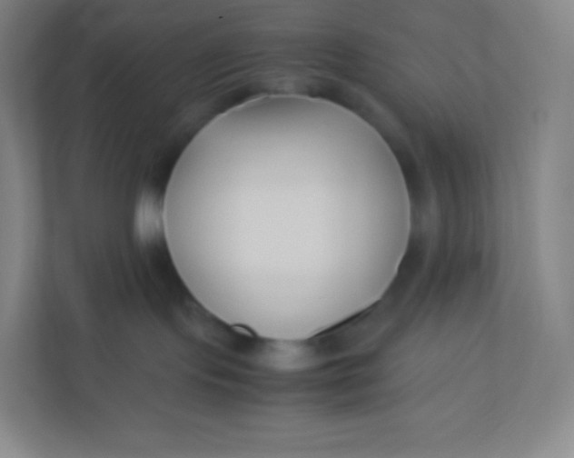 X0000110770095200906291057