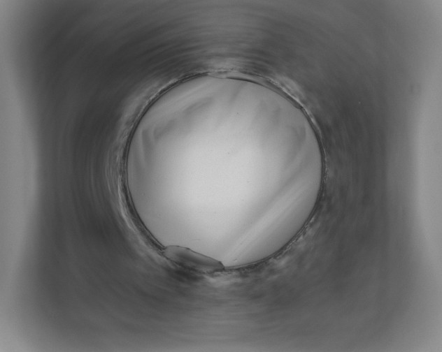 X0000110770097200906291056