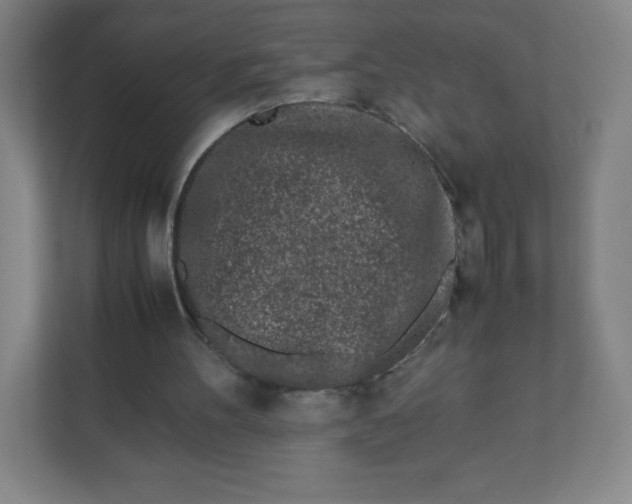 X0000110770100200906291056