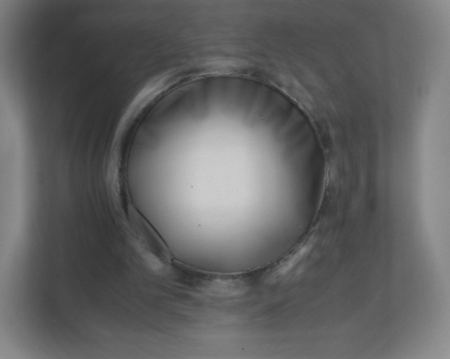 X0000110770101200906291056