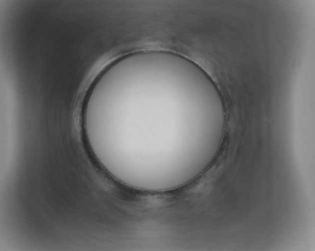 X0000110770103200906291056