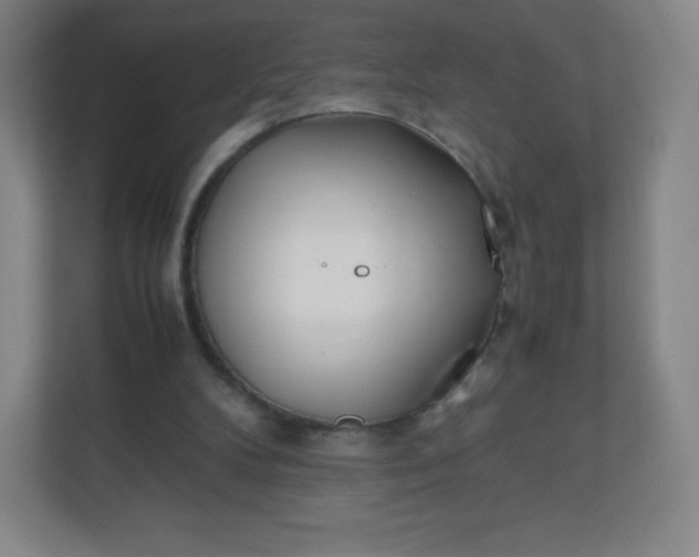 X0000110770104200906291056