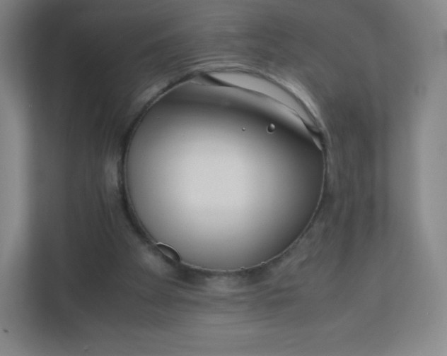 X0000110770105200906291056