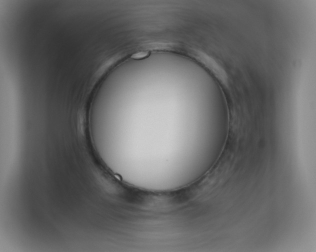 X0000110770107200906291056