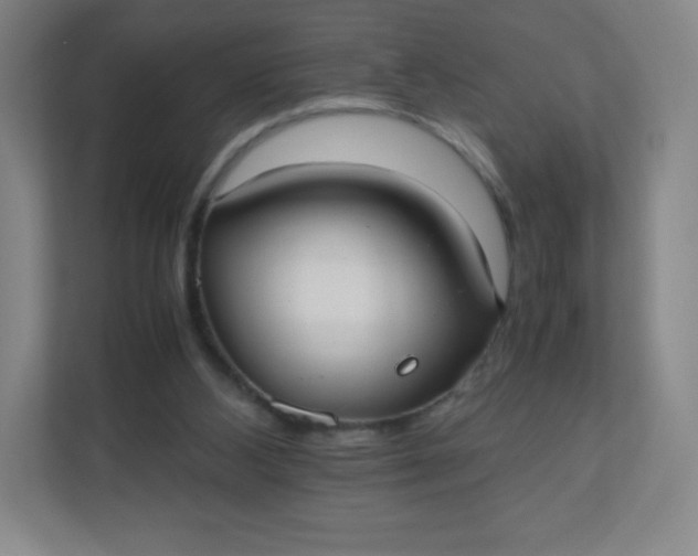 X0000110770108200906291056