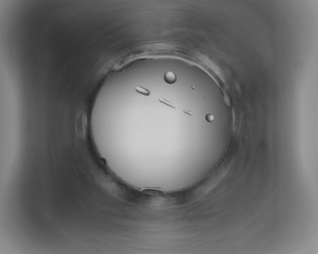 X0000110770109200906291056