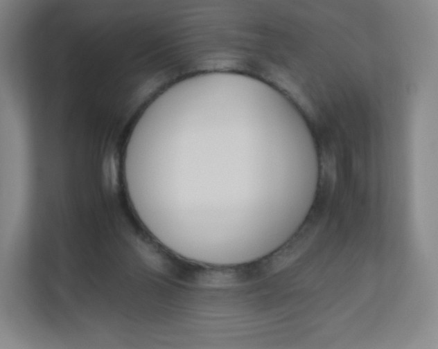 X0000110770110200906291056