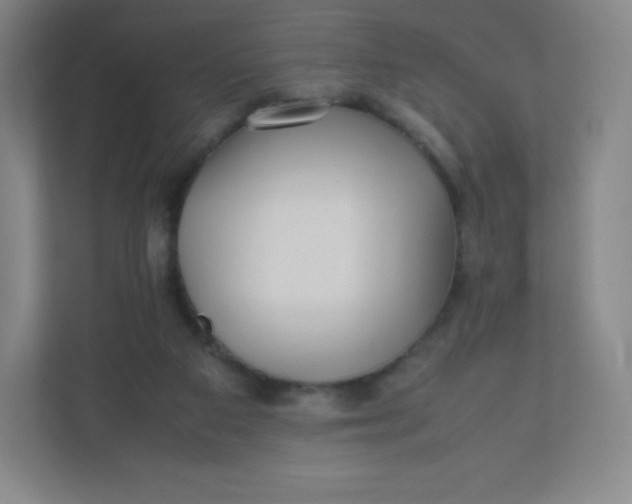 X0000110770113200906291056