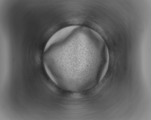 X0000110770114200906291056