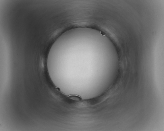 X0000110770115200906291056