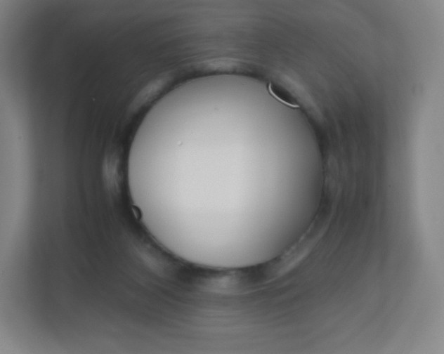 X0000110770116200906291056