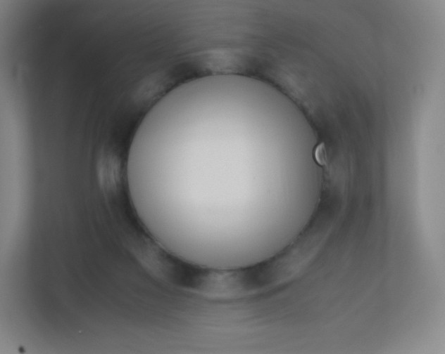 X0000110770117200906291056