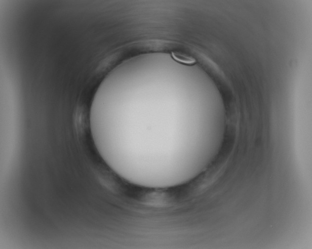 X0000110770119200906291056