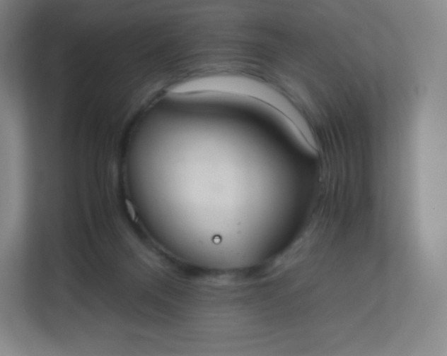 X0000110770120200906291056