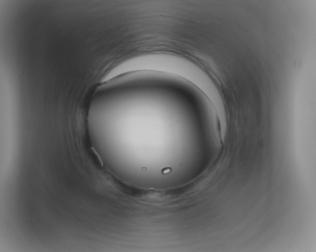 X0000110770121200906291056