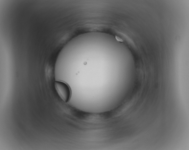 X0000110770123200906291056