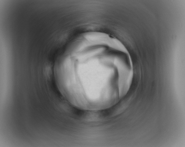 X0000110770127200906291056