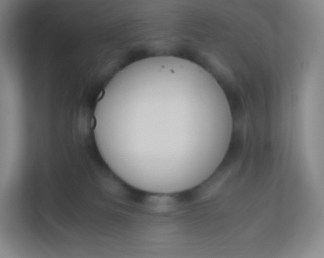 X0000110770133200906291056