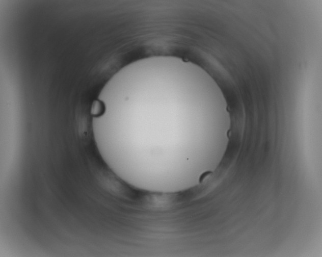 X0000110770134200906291056