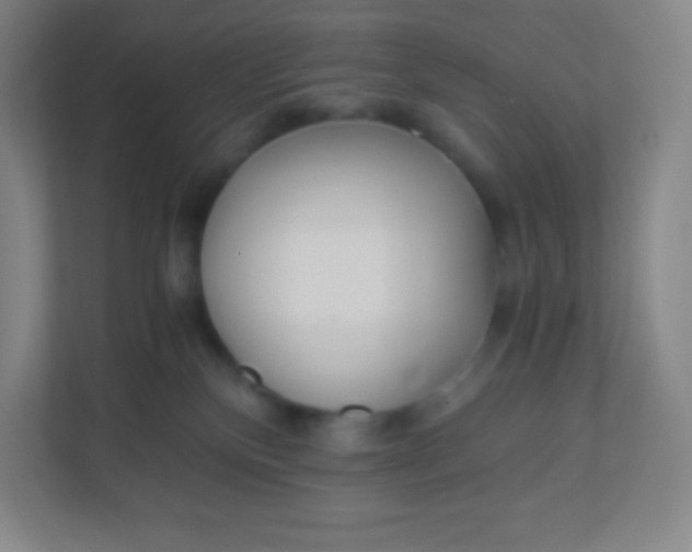 X0000110770136200906291056