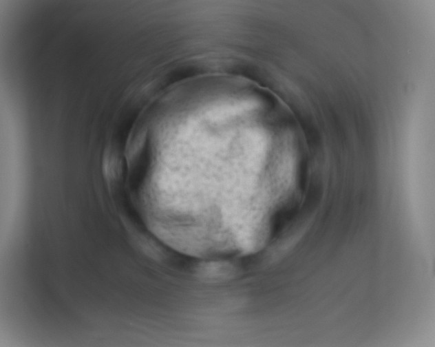 X0000110770137200906291056