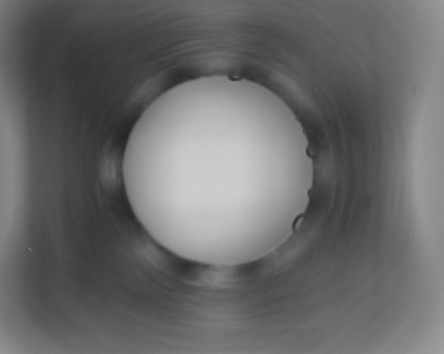 X0000110770138200906291056