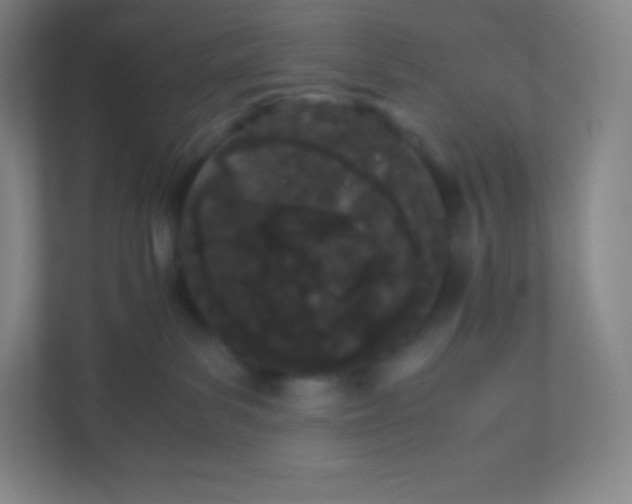 X0000110770139200906291056