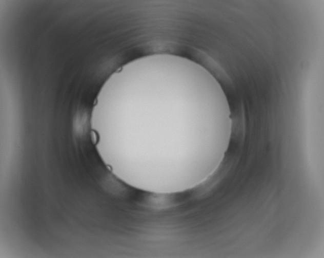 X0000110770142200906291056