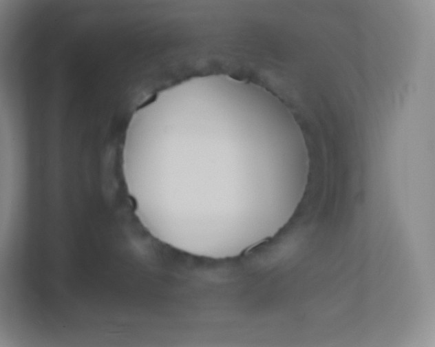 X0000110770144200906291055