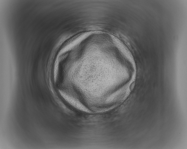 X0000110770145200906291055