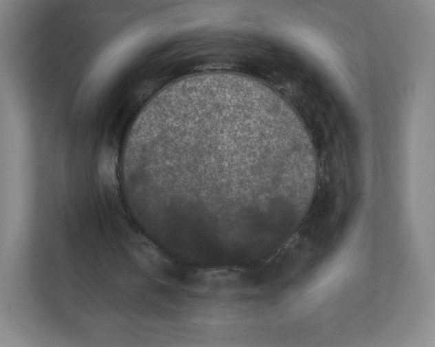 X0000110770146200906291055