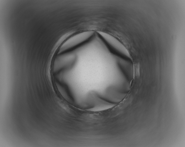 X0000110770147200906291055