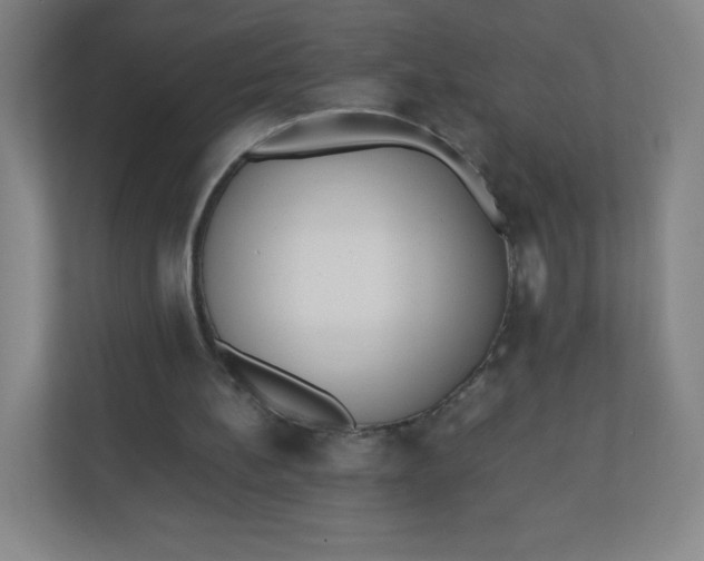 X0000110770148200906291055