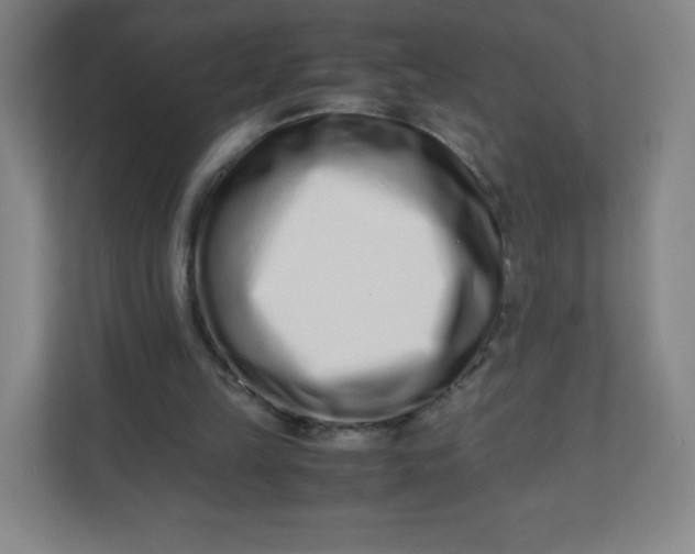 X0000110770149200906291055