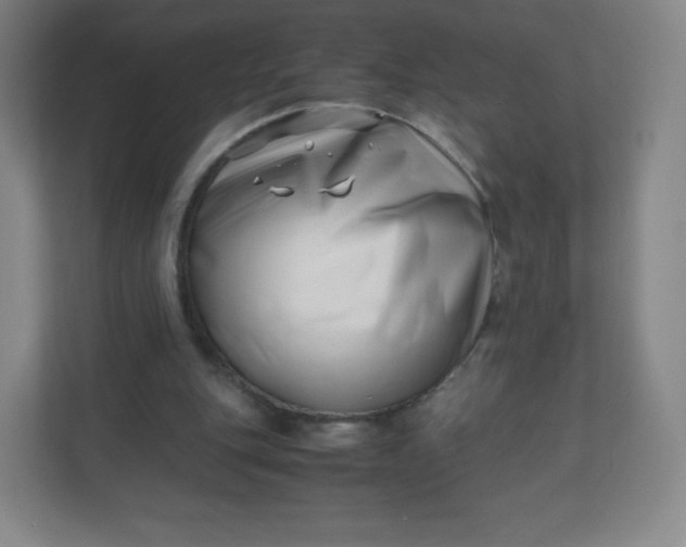 X0000110770151200906291055