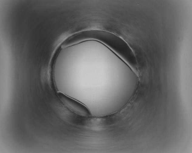 X0000110770152200906291055